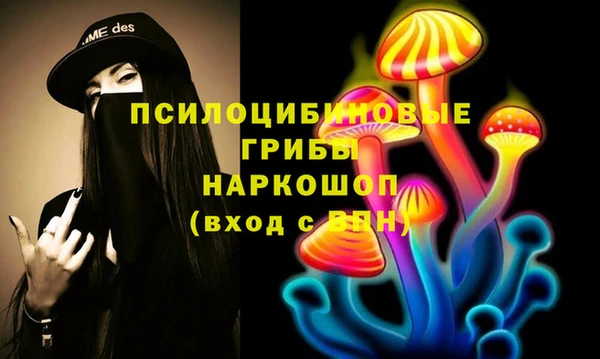 бошки Армянск