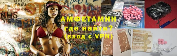 твердый Арсеньев