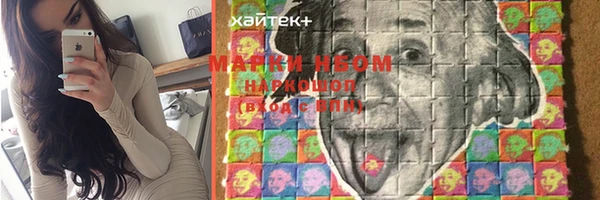 твердый Арсеньев